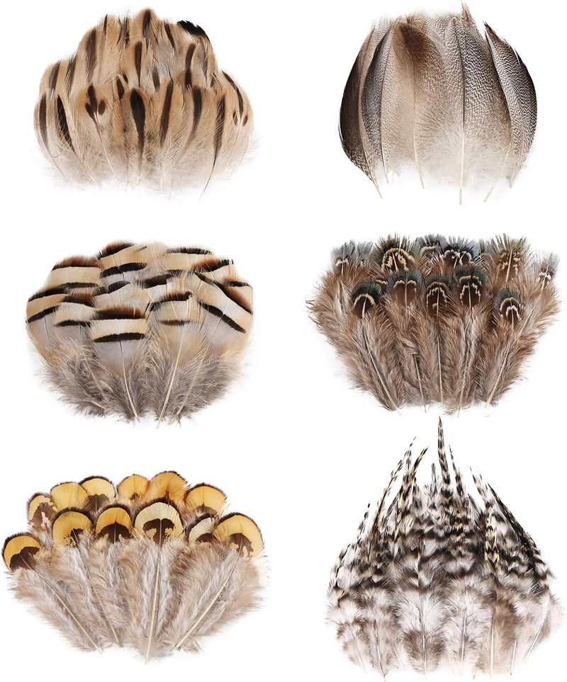 Daieeparty 180pcs Small Pheasant Feathers 6 Style Mixed Feathers Natural Feathers for Crafting Wedding Dream Catcher Hats Decoration - Image 1